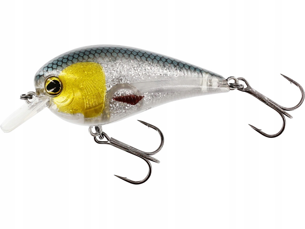 Wobler Westin Bassbite Squarebill 6cm 13g floating 3D Headlight