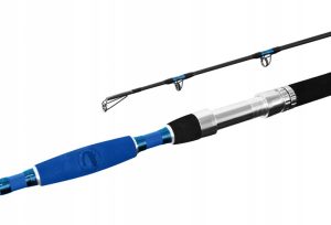 Wędka Delphin Hazard 310cm 500g