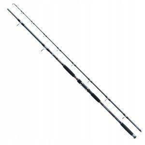 Wędka Jaxon Eclatis Catfish 3.15m do 500g